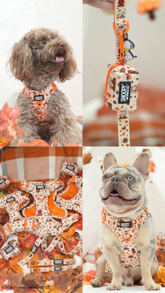 SnoopyTM x My Pug & Co