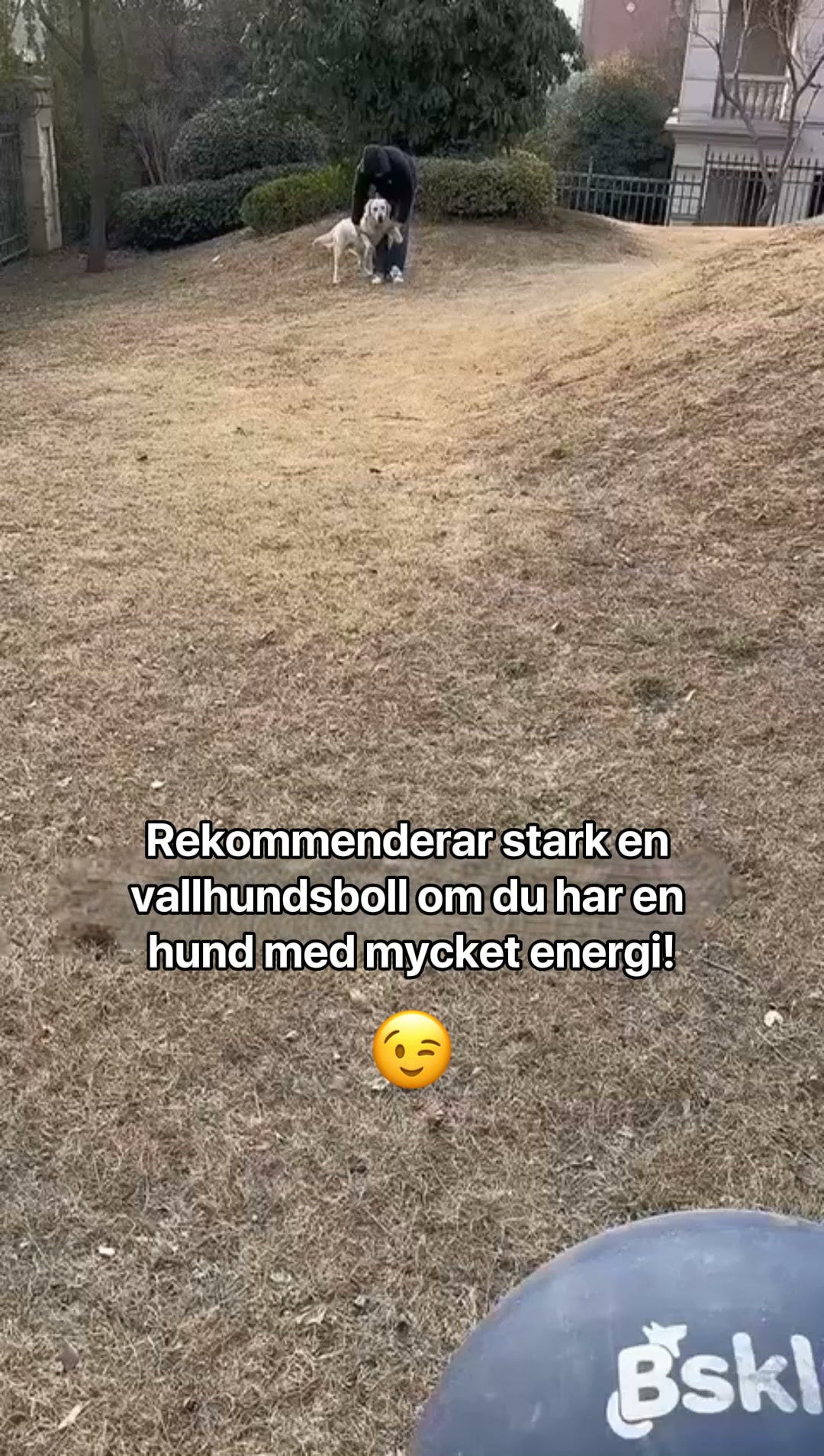 #1 Interaktiv Boll