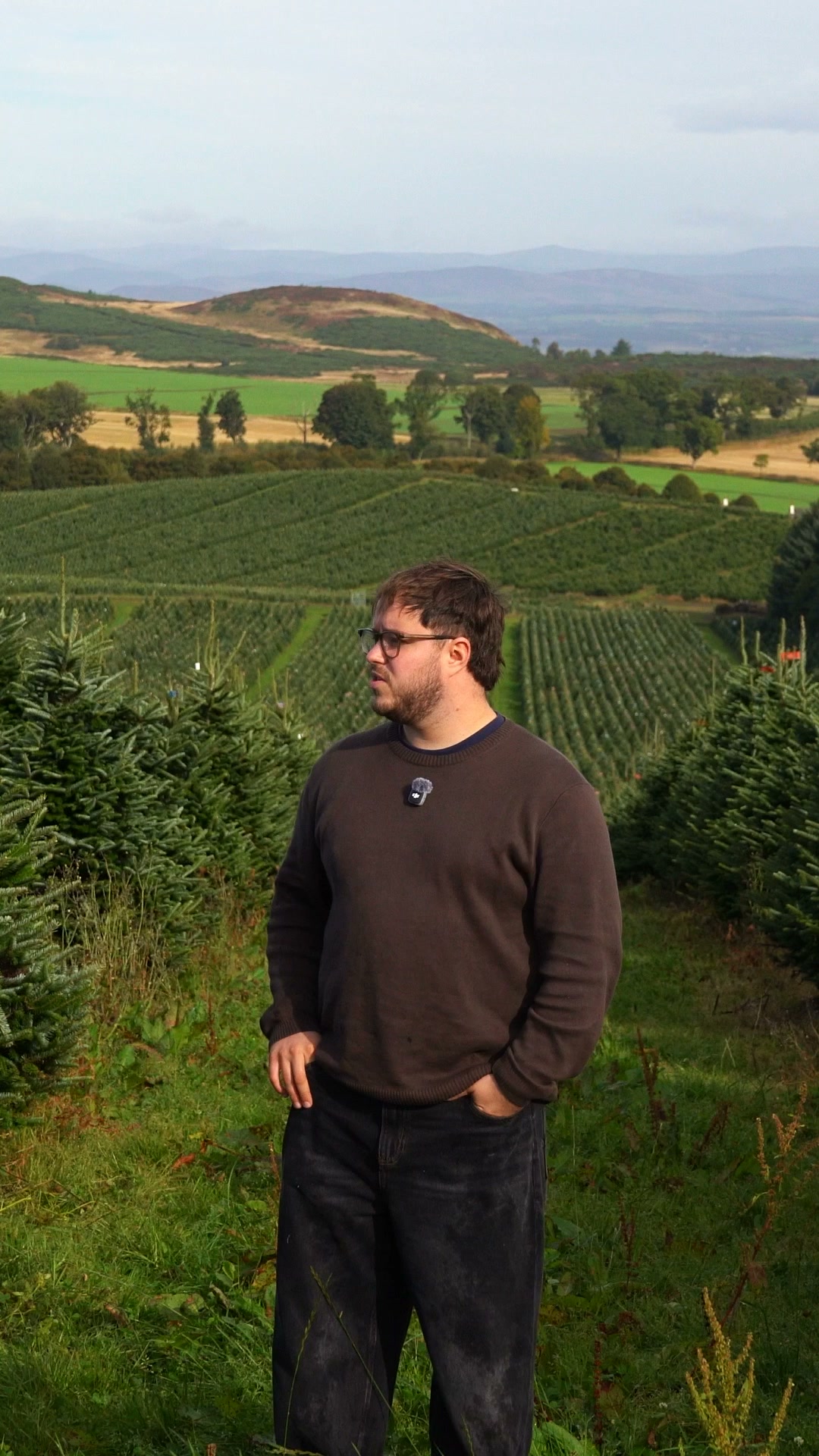 Pre-Order Your Real Pot-Grown Christmas Tree