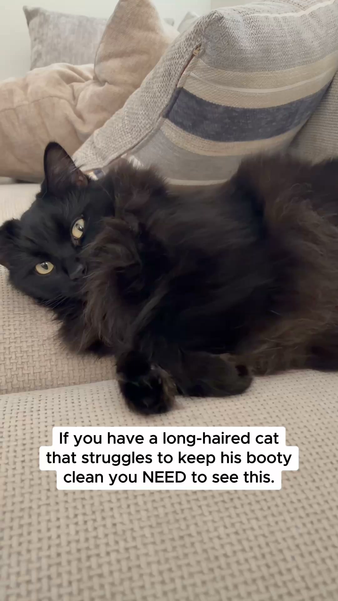 Meet FurTrim