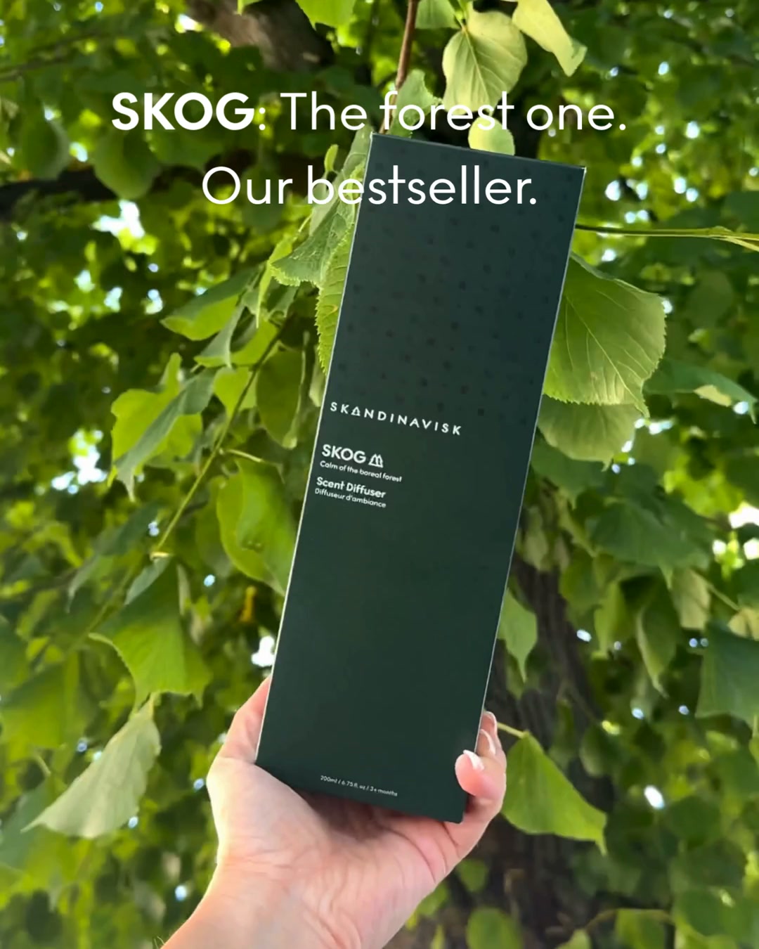 5 scents. No flame. 3 months.
