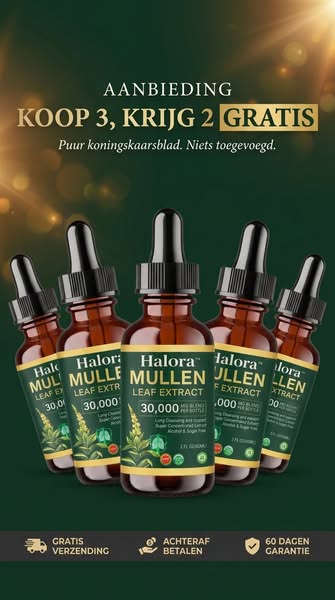 Adem Vrijer In Slechts 7 Dagen