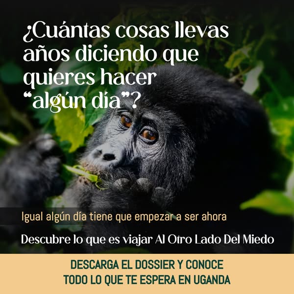 Vuelve a hacer cosas que te ilusionen