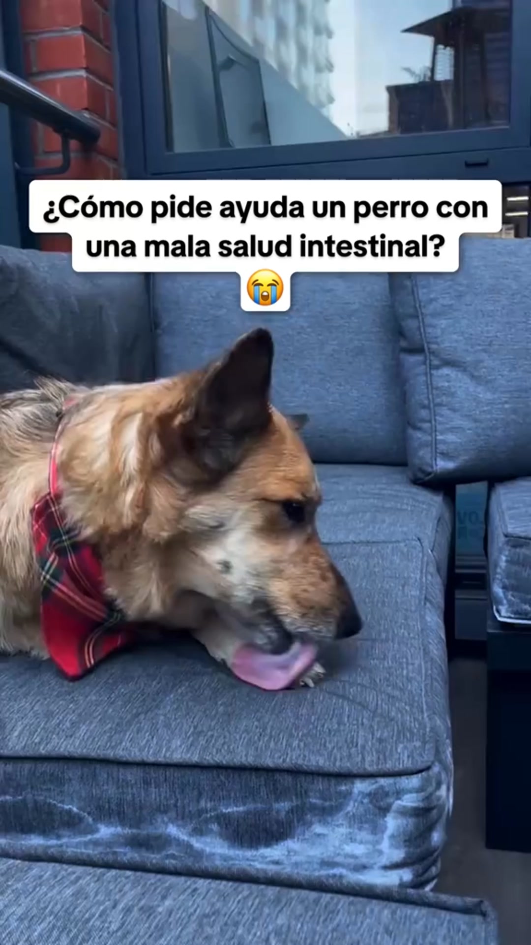 +100.000 clientes
