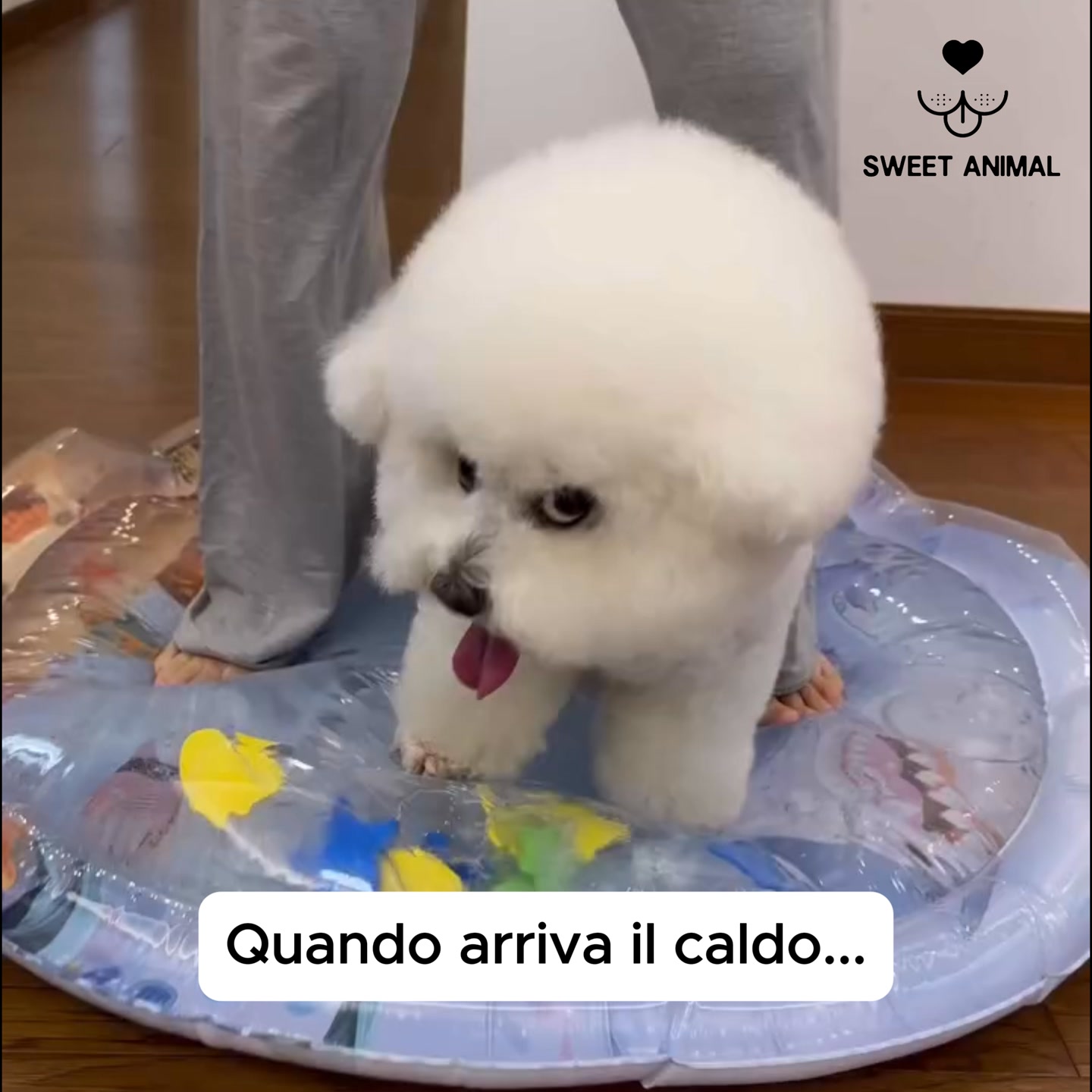 Oasi rinfrescante!