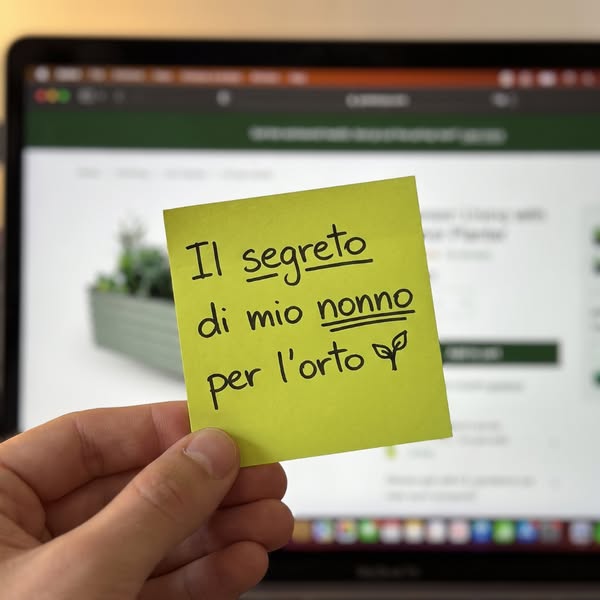 Il tuo orto, finalmente in ordine