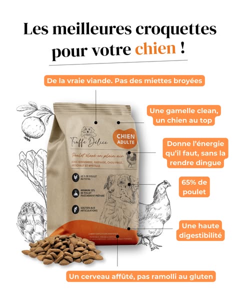 10% avec le code : WOOF-10