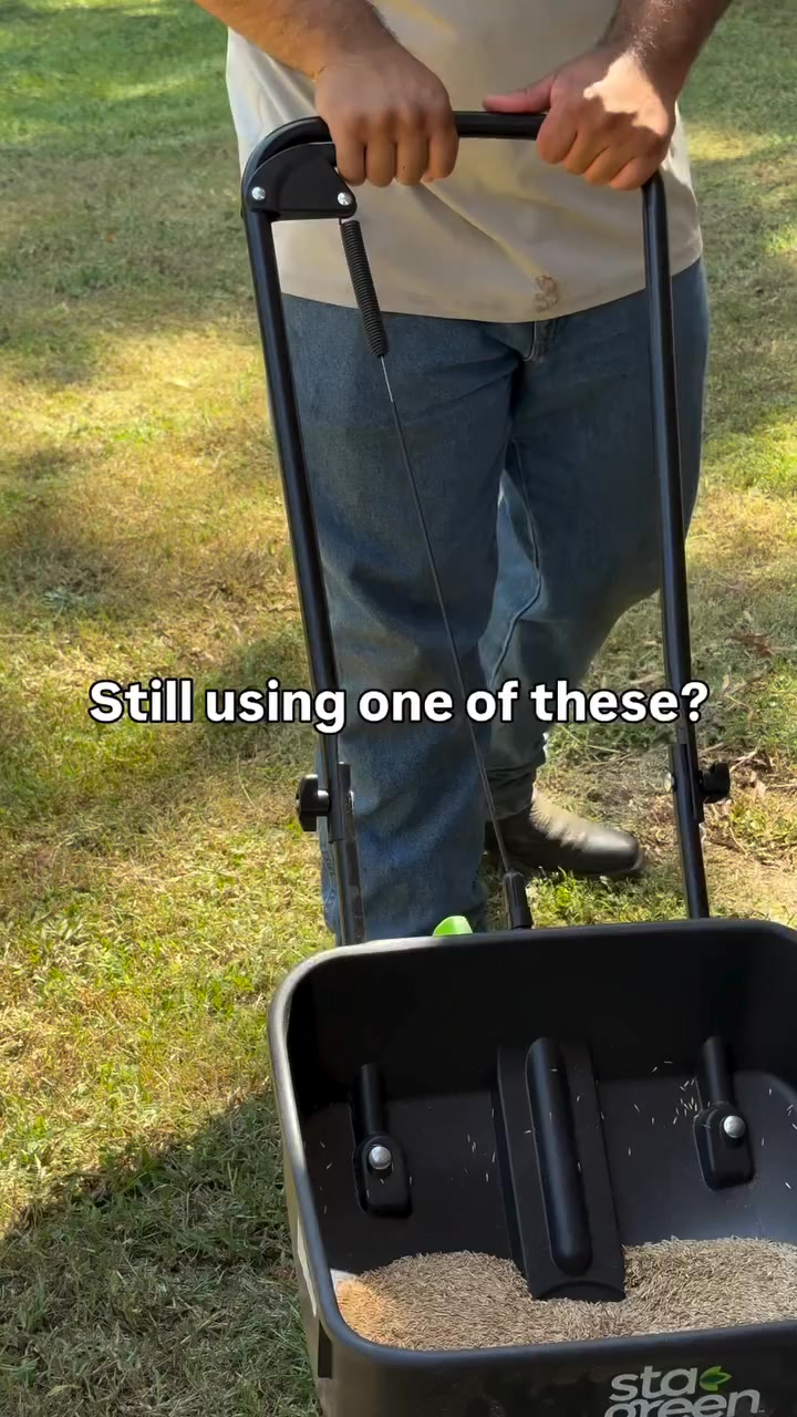 Get a Lush Green Lawn That's the Envy of Your Neighbours!