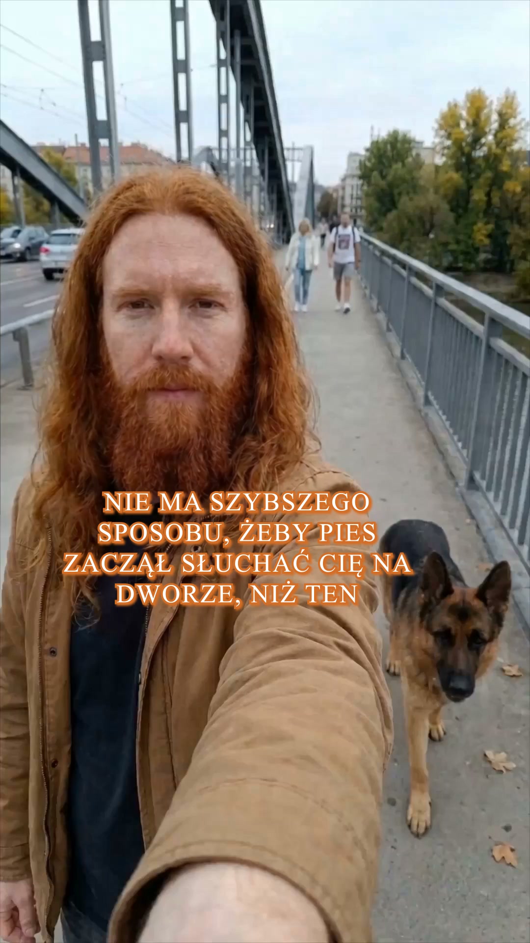 Rozpocznij Wyzwanie na poziomie psa asystującego ▶