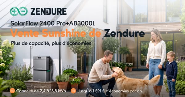 SolarFlow 2400 Pro & 4*450W PV丨1 319 €