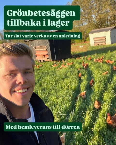 Grönbetesägg
