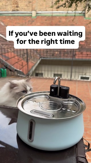The #1 Vet Recommended Cat Fountain