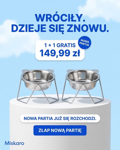 To miska, nie jedzenie.