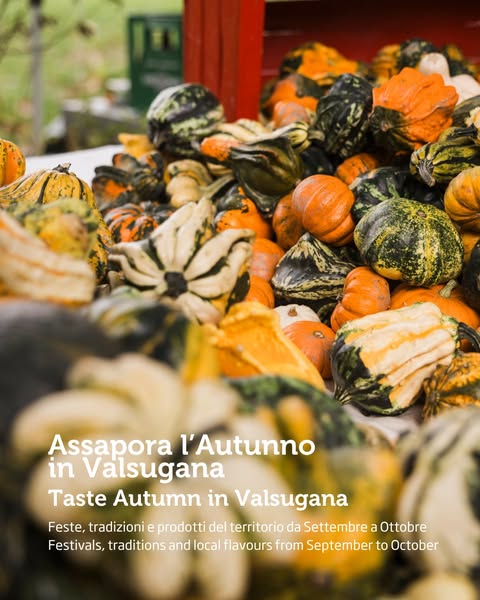 Visit Valsugana (@visitvalsugana) • Instagram photos and videos