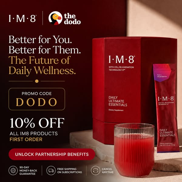 Wellness Simplified. In One Drink.