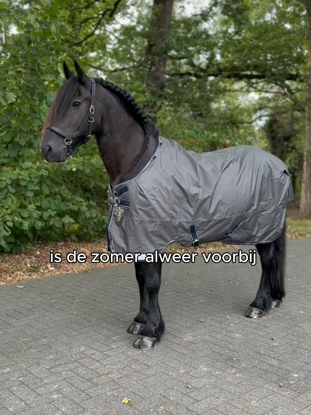 Bestel nu met 10% korting