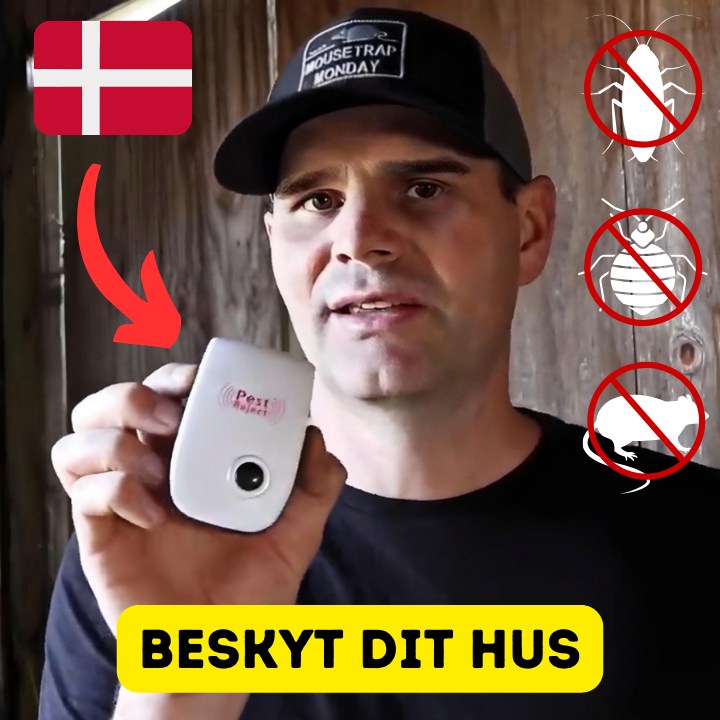 Beskyt dit hjem