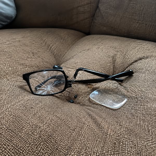 THE SOFA FOUND THEM FIRST
