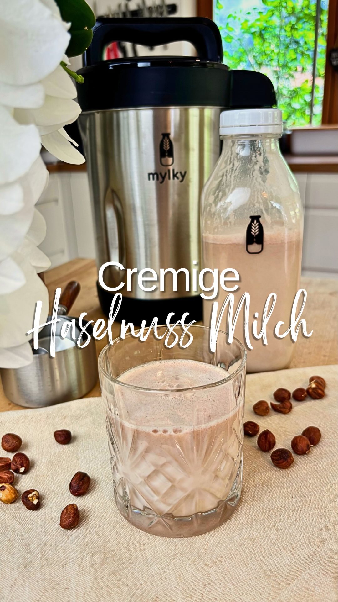 Anúncio de A Muvrella Corsica Detox