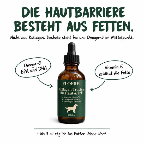 Der Juckreiz war nie das Problem.