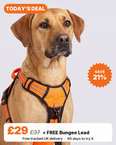 Today's deal: £29 + free lead