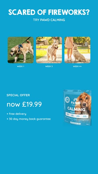 Daily Calm for Anxious Dogs