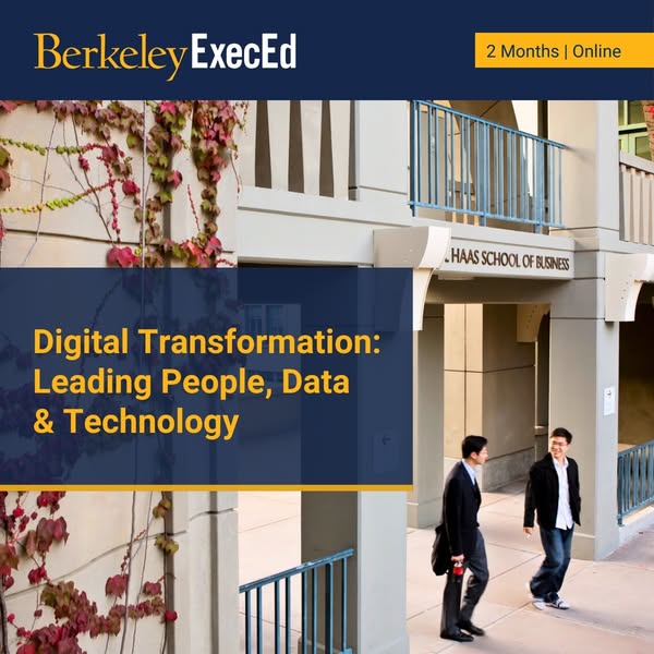 Lead tech-enabled transformative change