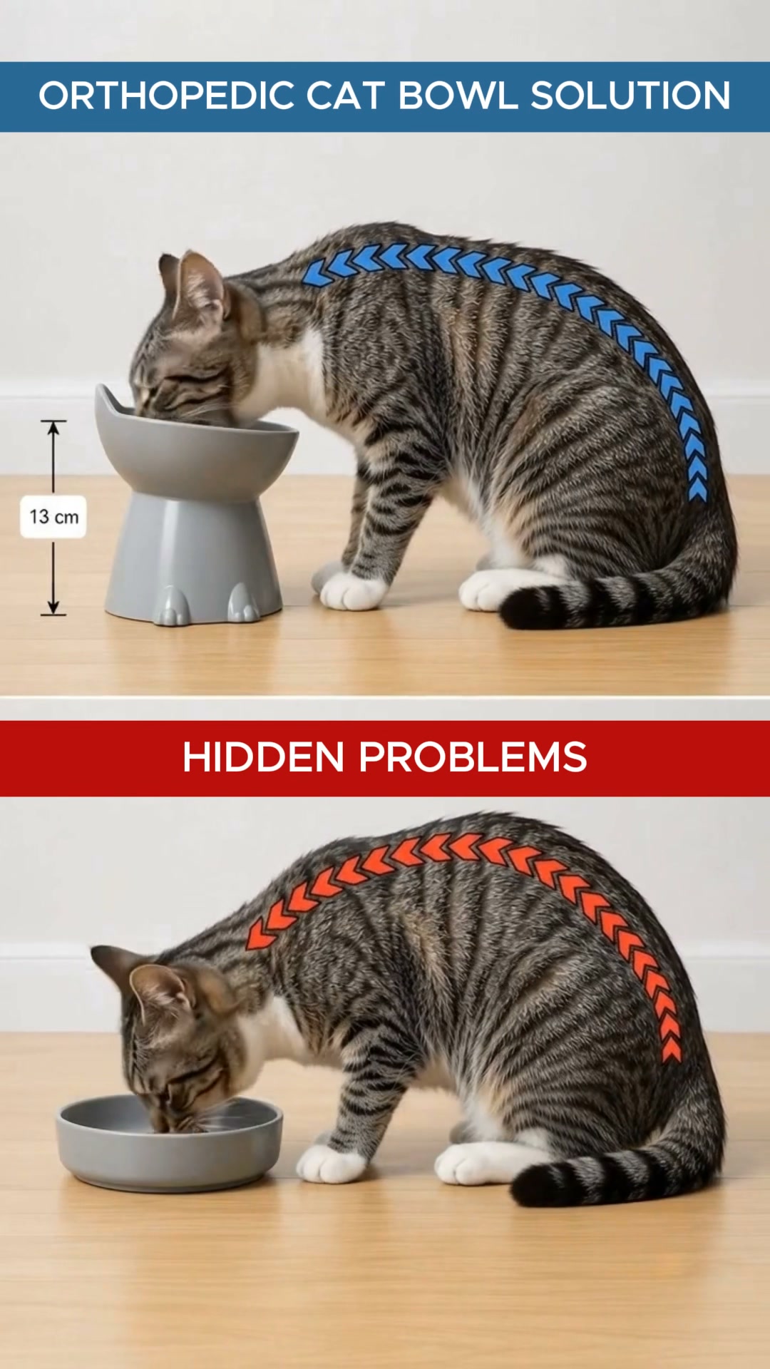 Orthopedic Bowl