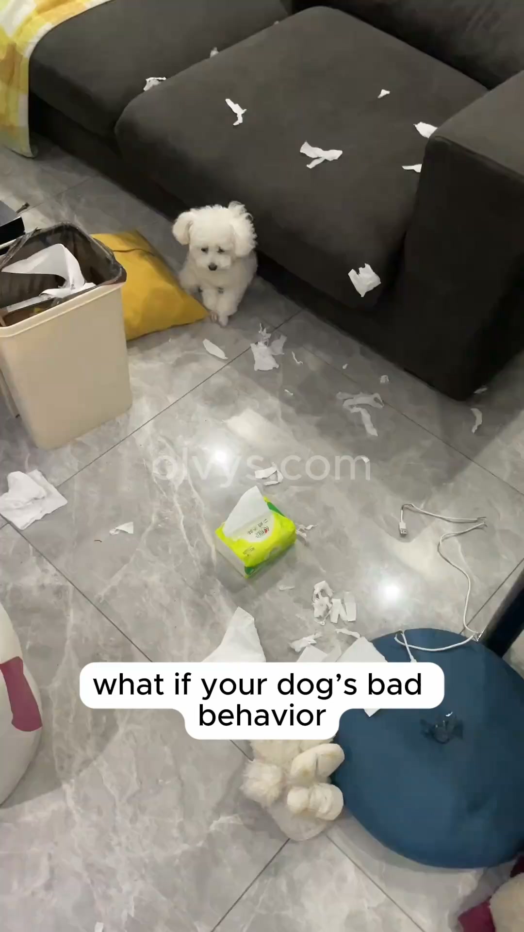Help your pet rest better | Save 45%