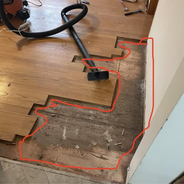 I Followed Every Vet Instruction For 2 Years. My Cat Never Stopped