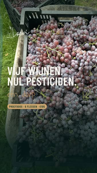 Proefdoos · 6 flessen · €105