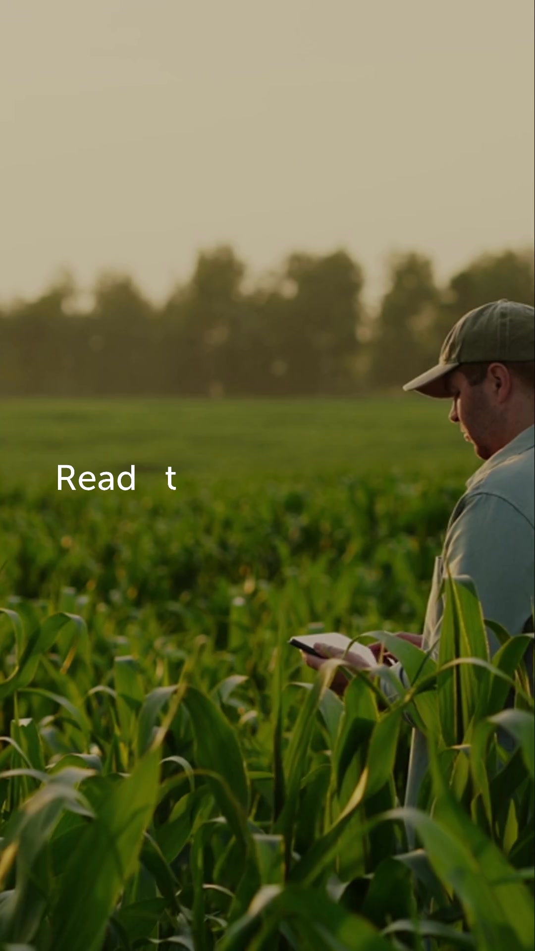 Grow Your Research Impact