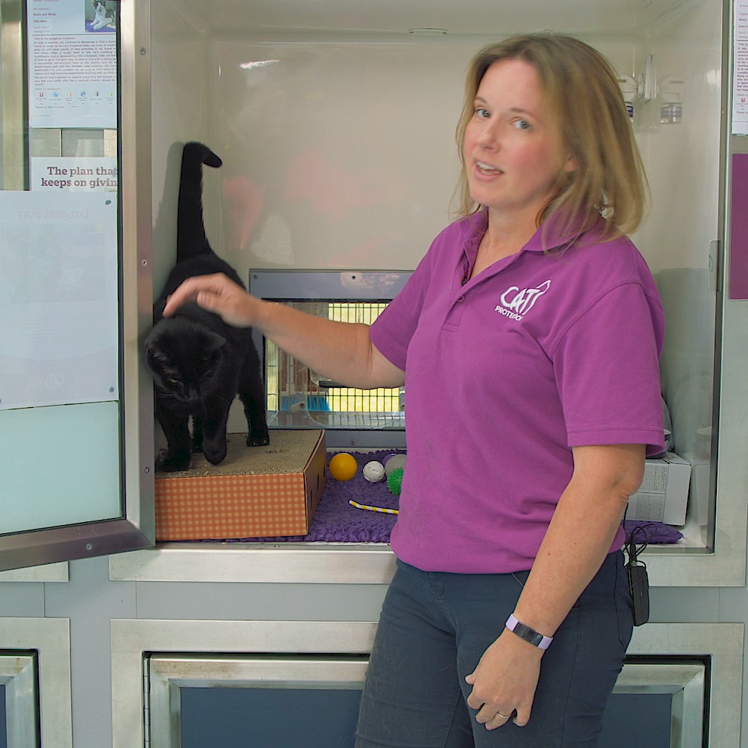 Partnering with Cats Protection