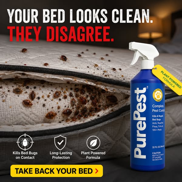 We Put Exterminators Out of Business For $25