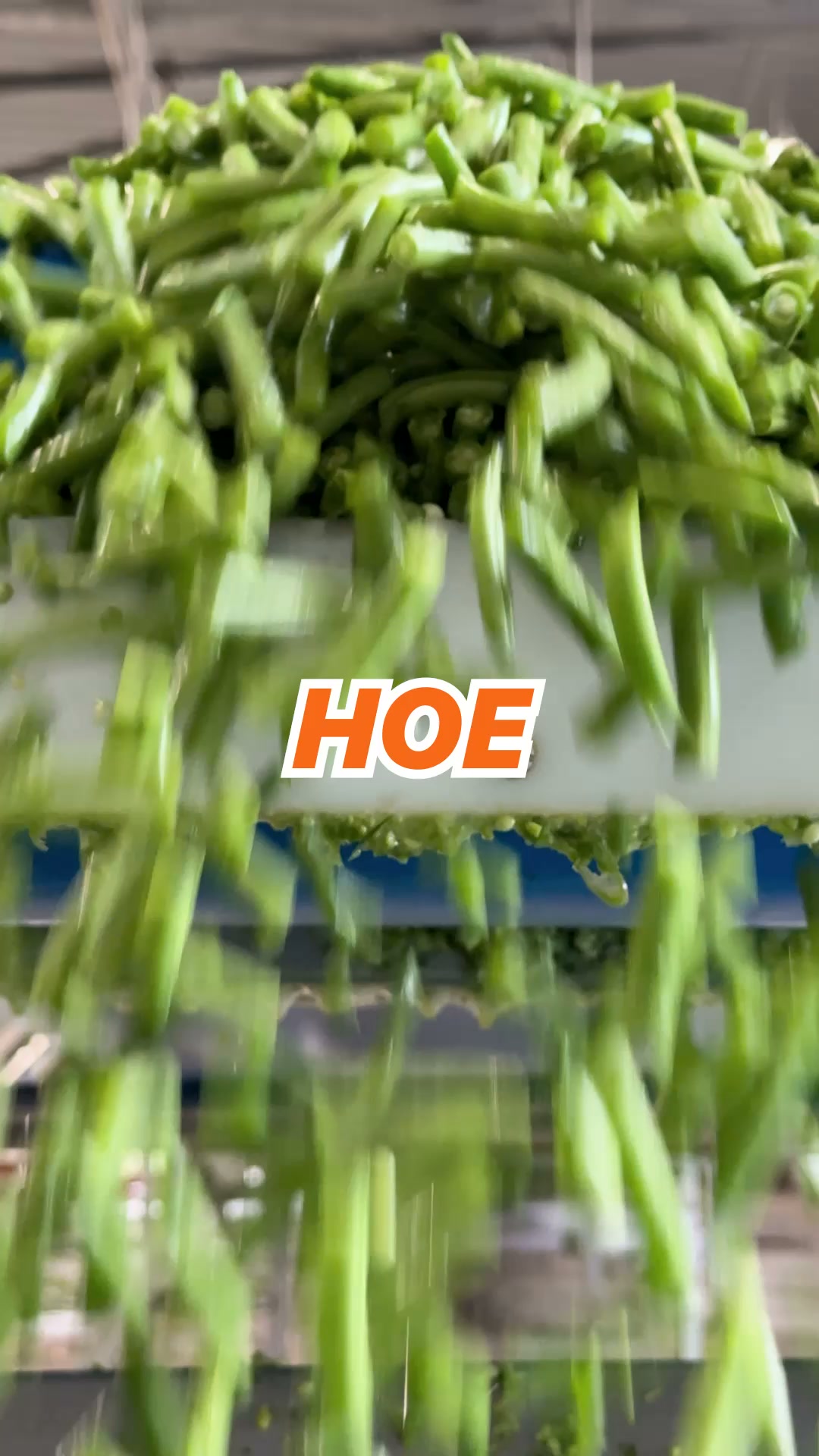 Wees er snel bij & profiteer!