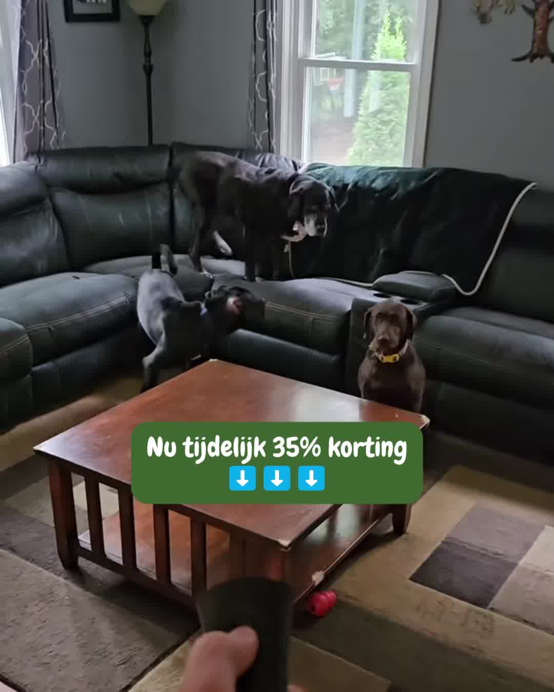 Nu tijdelijk afgeprijsd