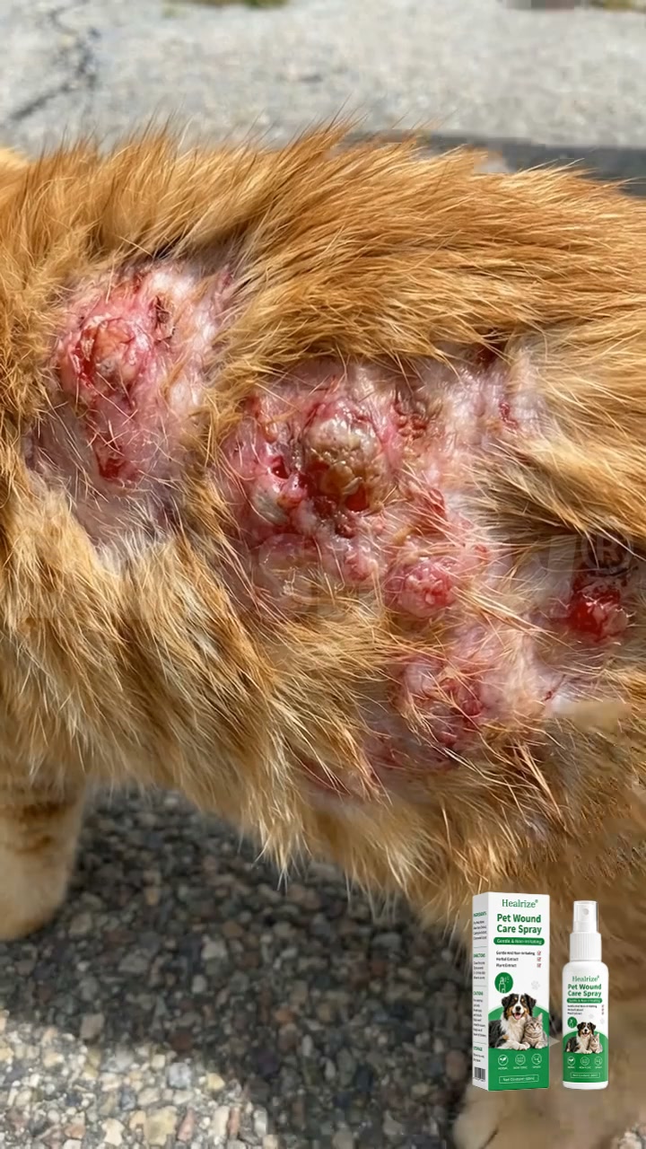 From Constant Scratching to Instant Relief!