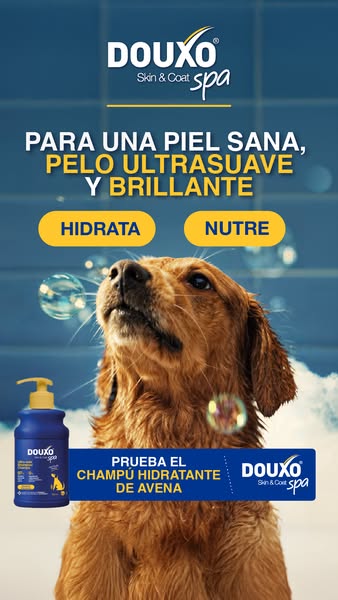 Ahora nuevo: DOUXO SPA