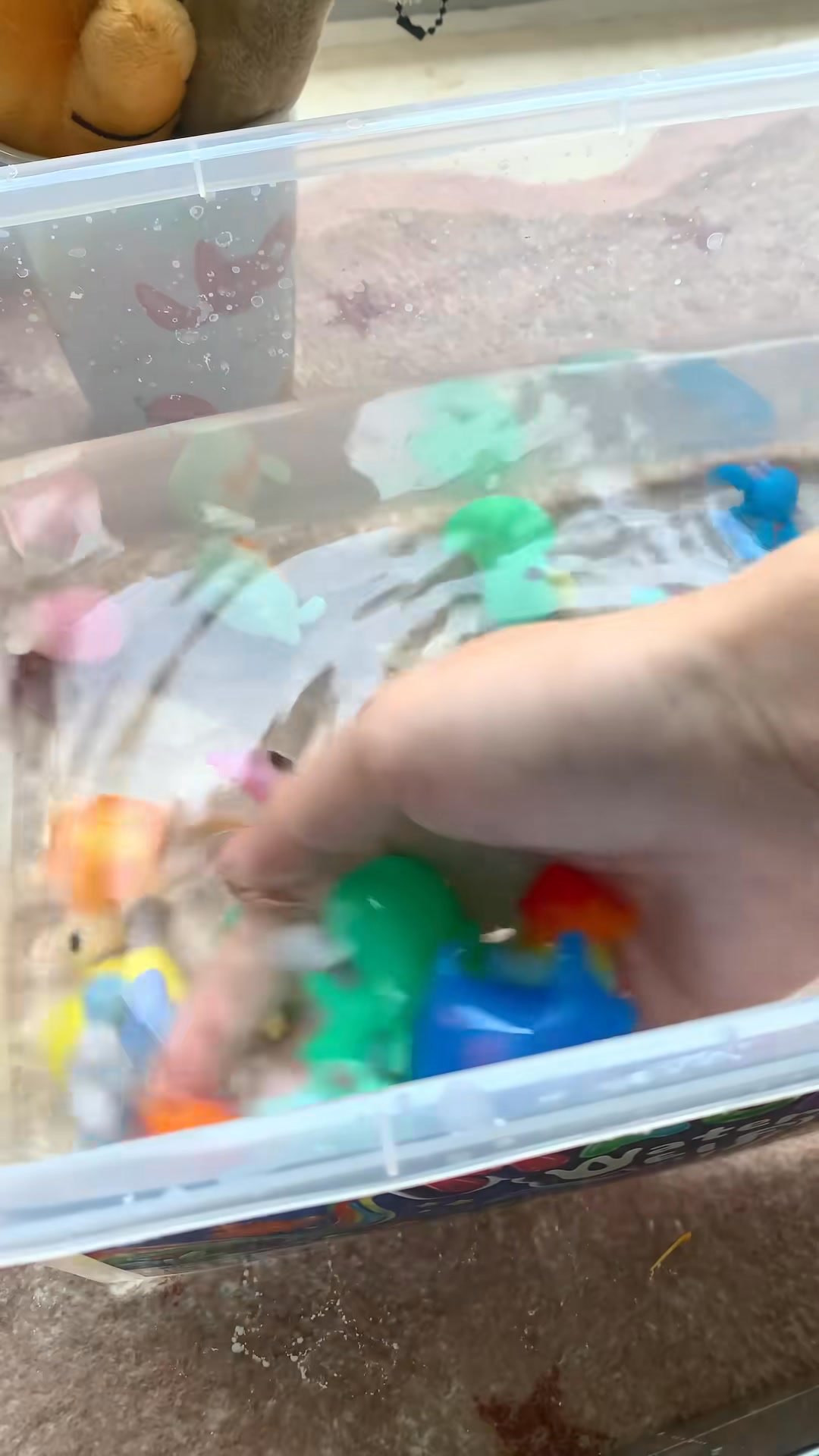 TYLKO 64 zł – MAGICZNE ŻELKI 3D!
