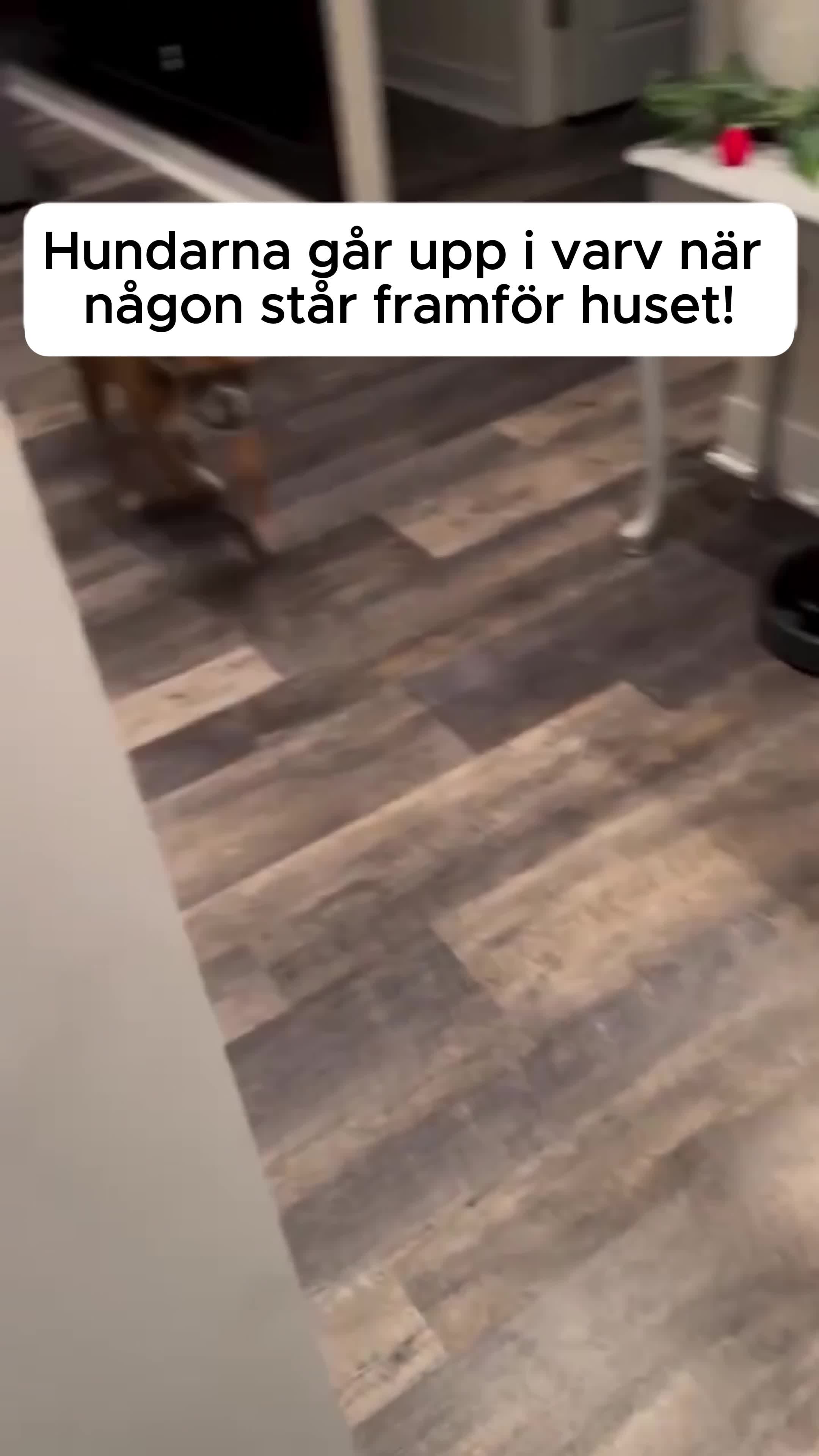 Förbättrat beteende på bara några sekunder