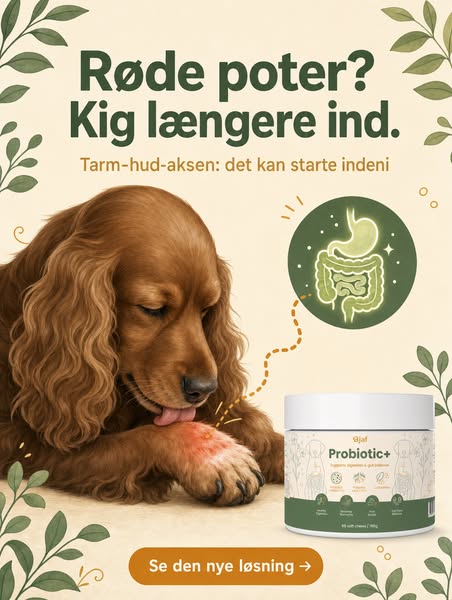 Tarm i balance - indefra