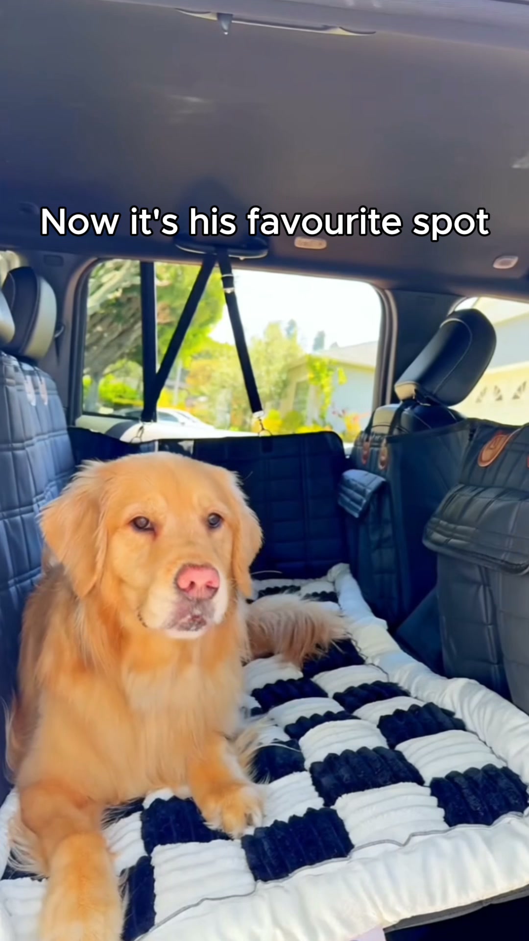 Pawlow Hard Bottom Seat Cover