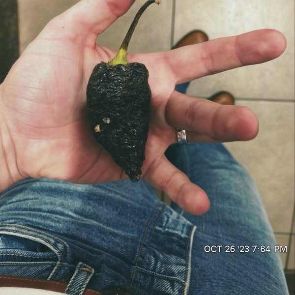 ED and enlarged prostate?