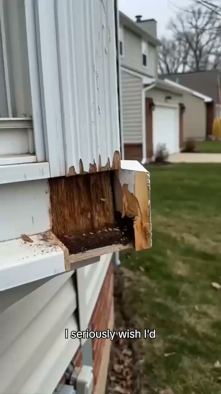 Seal Gaps &amp; Cracks in Minutes