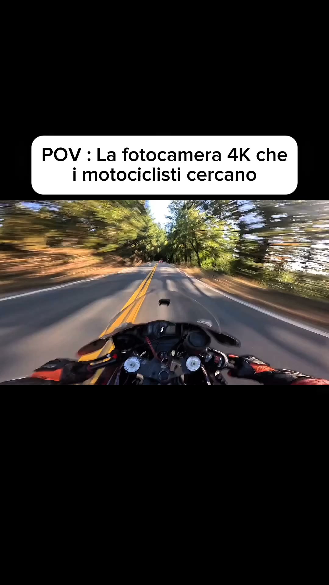 Divertiti. Moovora si occuperà del resto.