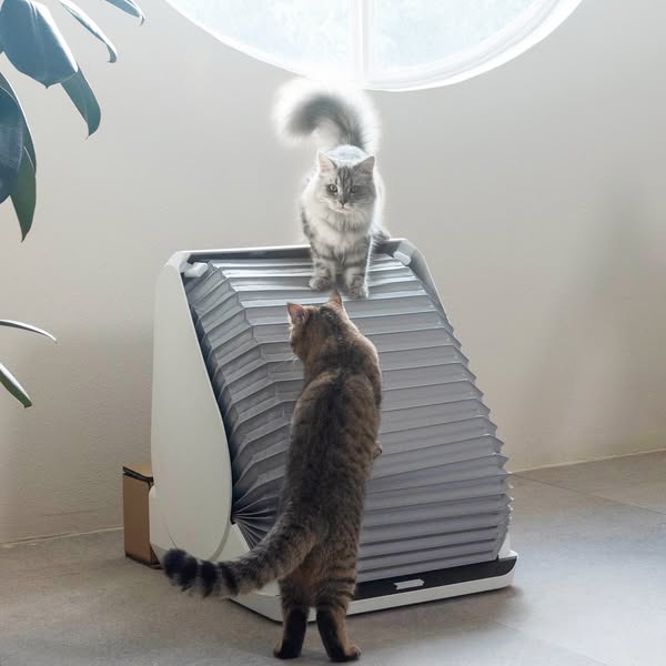 Give your feline friends their best bathroom