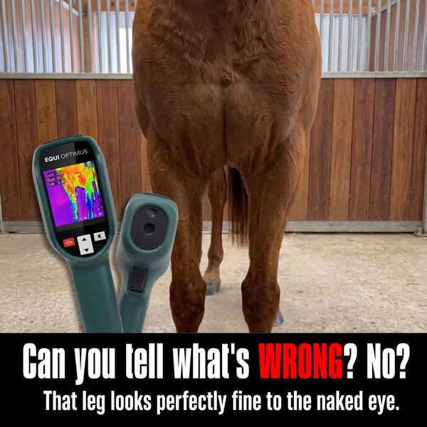 EquiOptimus Horse Inflammation Detector (Upgraded System)