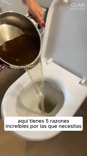 Envío GRATIS + Paga en Casa