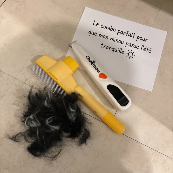 Je prends soin de mon minou