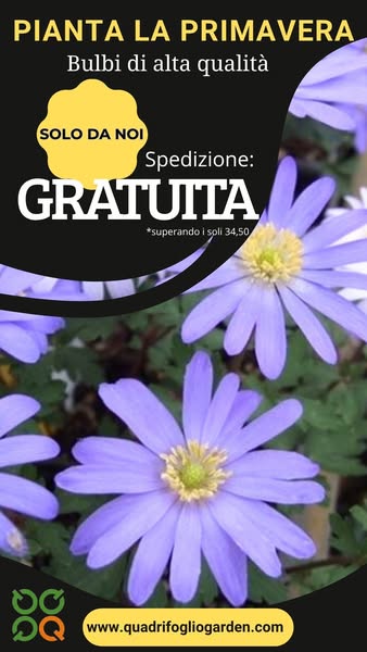 SPEDIZIONE BULBI: GRATIS CON SOLI € 34,50!!